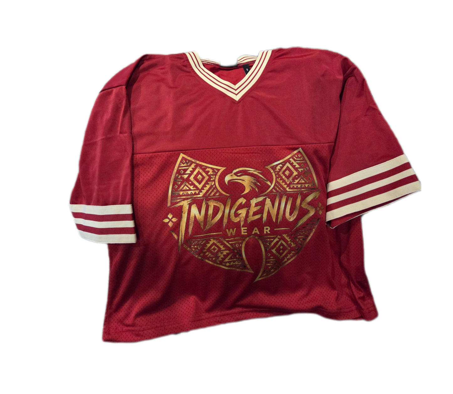 IndiGenius Eagle Jersey