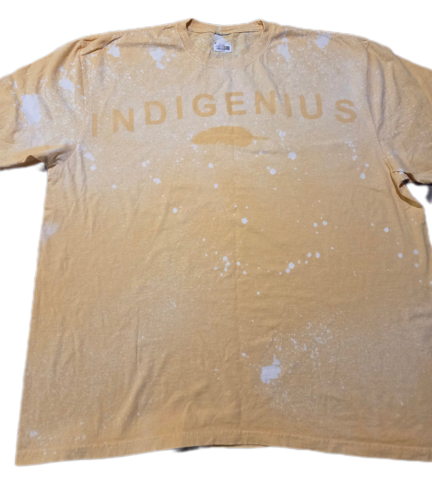 Custom IndiGenius t-shirt