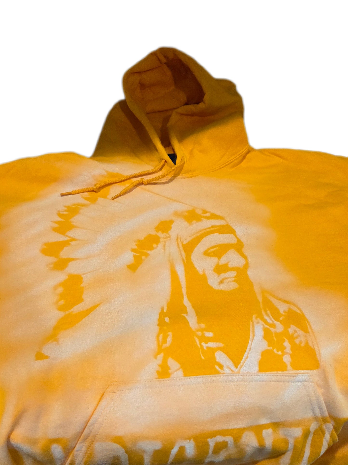 Chief IndiGenius Hoodie